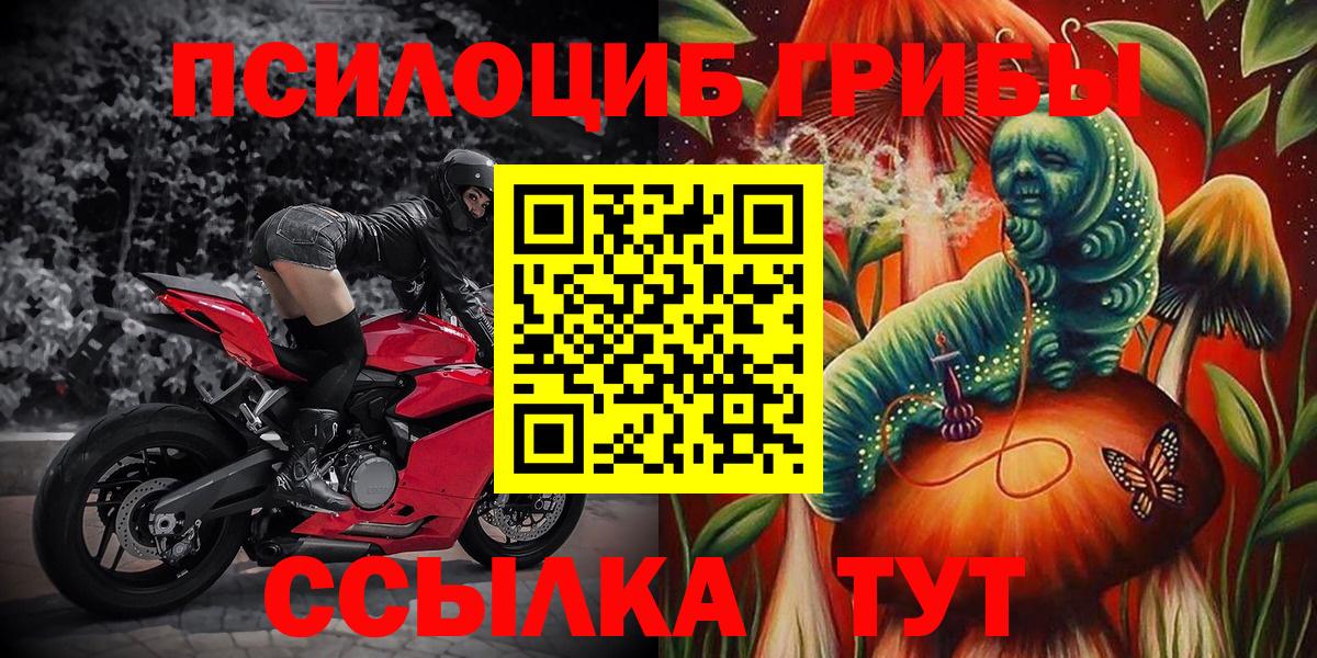 Галлюциногенные грибы GOLDEN TEACHER Котовск